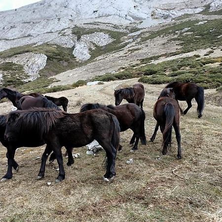 Los Casares Ріаньо Екстер'єр фото